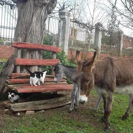 Molinos De Antero Gasthuis Monforte De Lemos