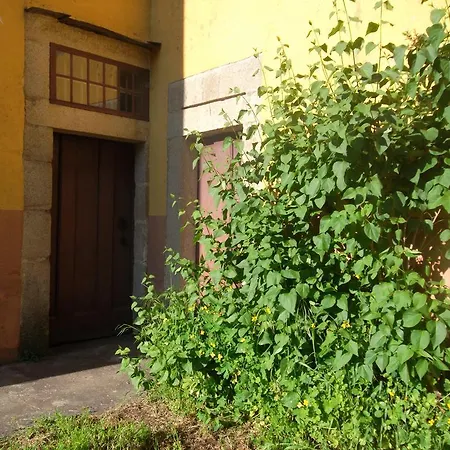 Molinos De Antero 3*