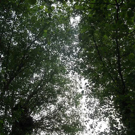 Gasthuis Molinos De Antero 3*