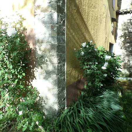 Molinos De Antero Monforte De Lemos