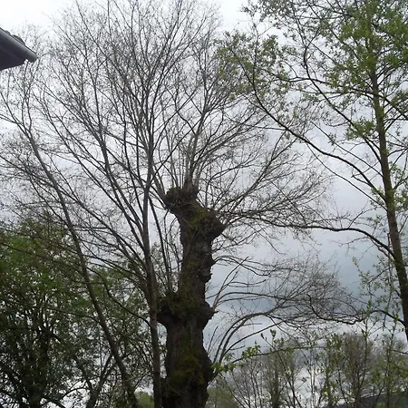 Gasthof Molinos De Antero Monforte De Lemos