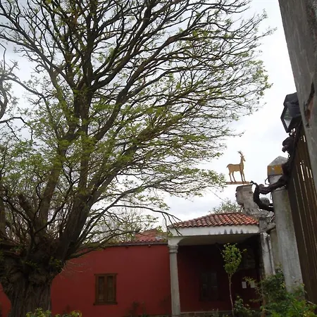 Molinos De Antero 3*