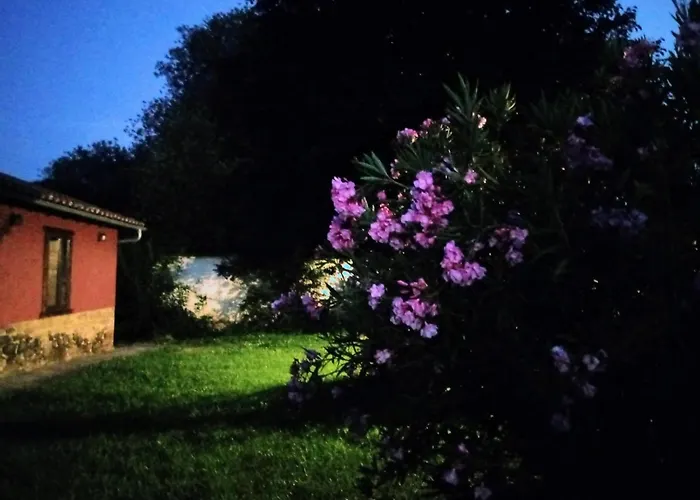 Molinos De Antero 3*