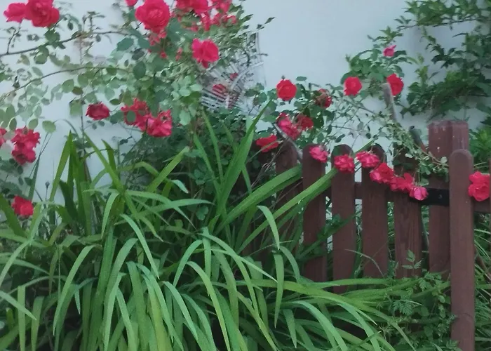 Molinos De Antero Monforte De Lemos