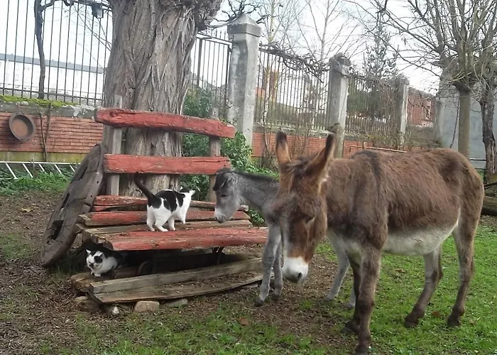Molinos De Antero Πανσιόν Monforte De Lemos