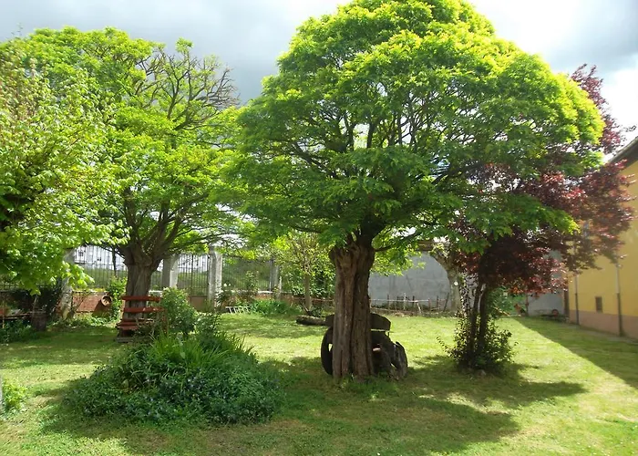 Molinos De Antero 3*