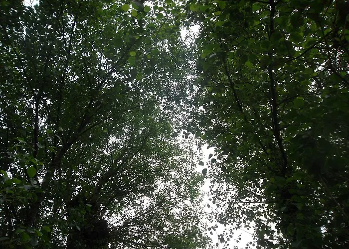 Πανσιόν Molinos De Antero 3*