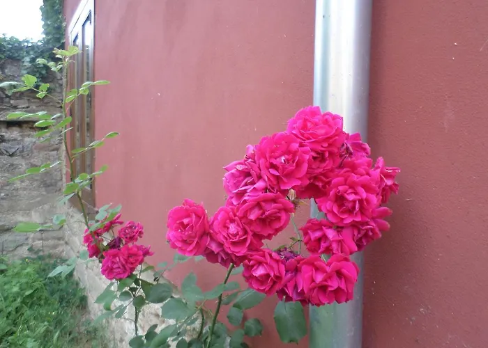 Πανσιόν Molinos De Antero 3*