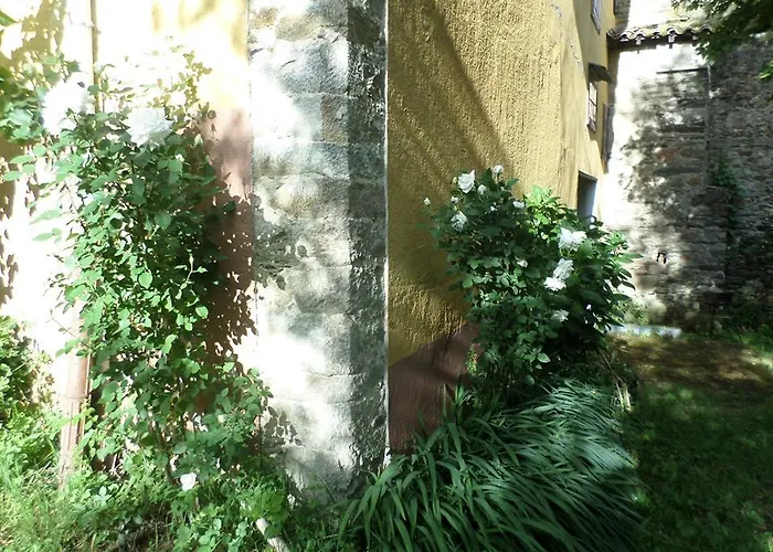 Molinos De Antero Monforte De Lemos