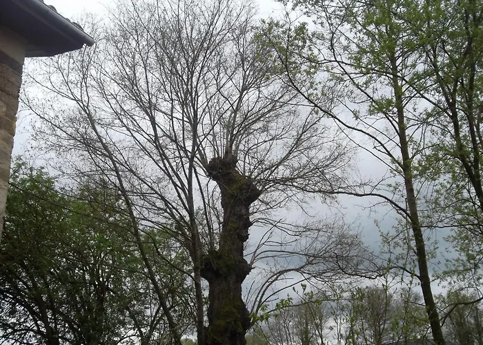 Πανσιόν Molinos De Antero Monforte De Lemos