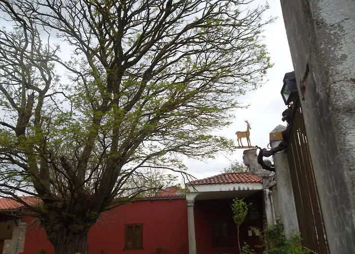 Molinos De Antero 3*